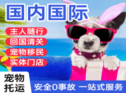 梅州航空货运国际宠物托运 【国